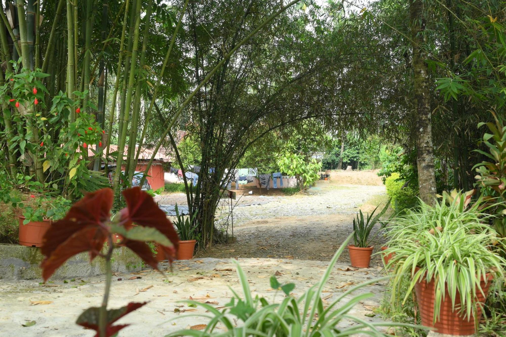Coffee Island Resort Kaniyāmbetta Esterno foto