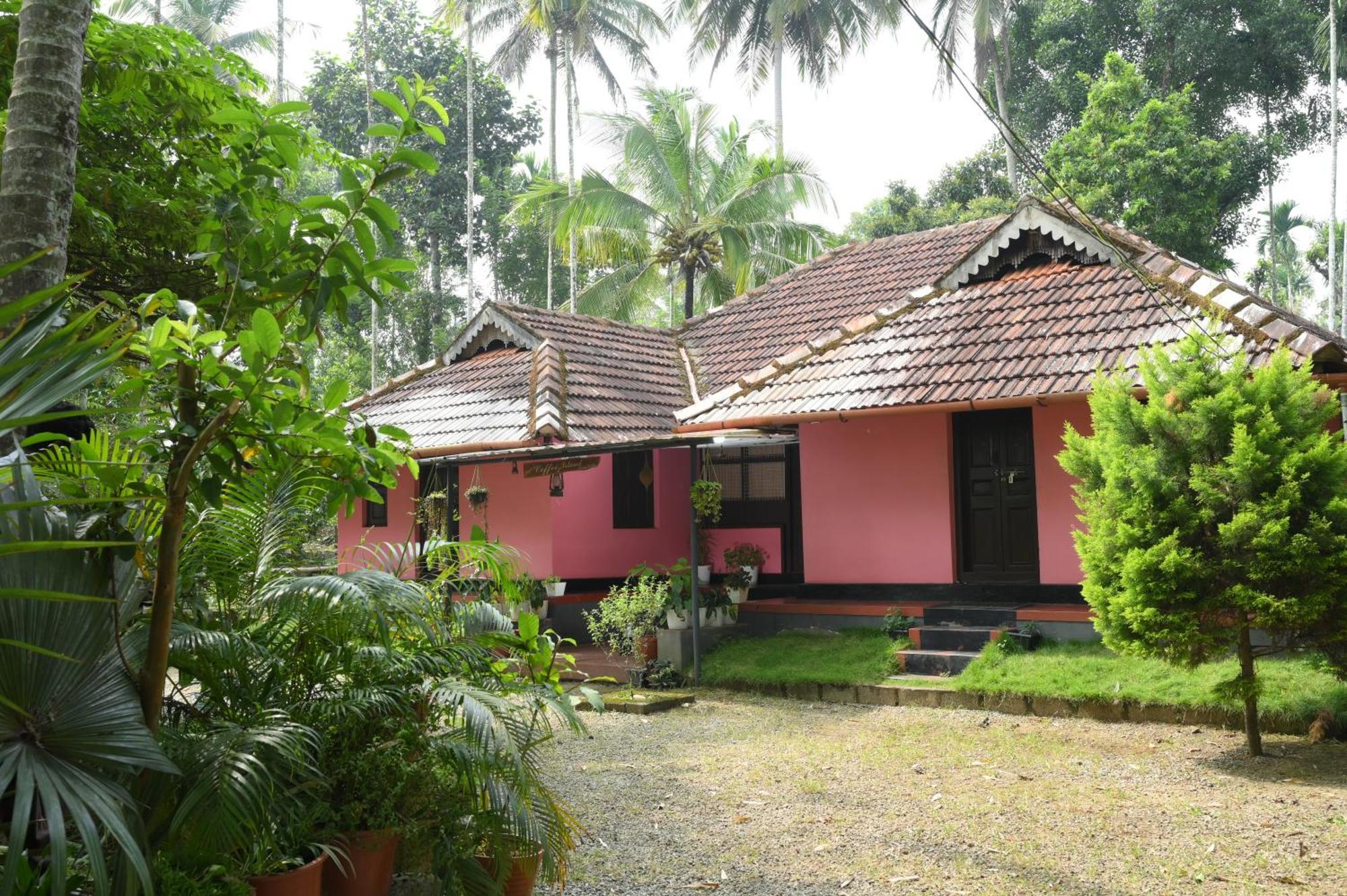 Coffee Island Resort Kaniyāmbetta Esterno foto